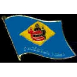 DELAWARE PIN STATE FLAG PIN